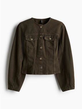 Classic Olive Crewneck Jacket - Women